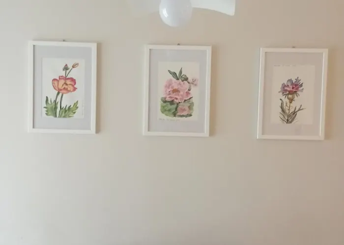 Rossini15 - Garage Privato Alba (Piedmont)